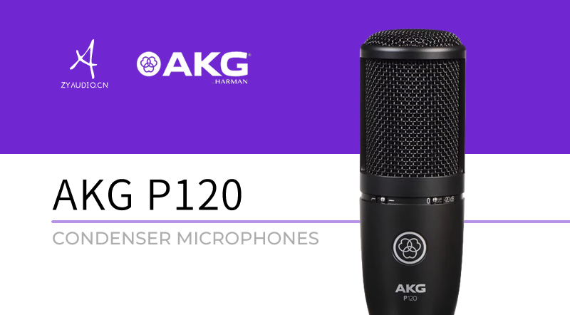 AKG P120